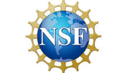 NSF Logo